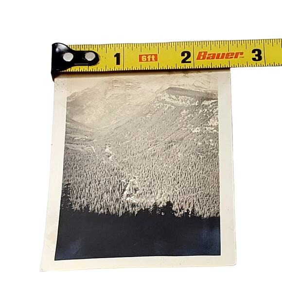Vtg B&W Photo 1940s Found Yellowstone National Park Mountain View Snapshot - Picture 4 of 4